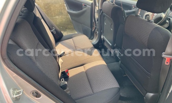 Acheter Neuf Voiture Toyota Runx Gris à Douala, Littoral Cameroon Acheter Neuf Voiture Toyota Runx Gris à Douala, Littoral Cameroon