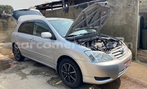 Acheter Neuf Voiture Toyota Runx Gris à Douala, Littoral Cameroon Acheter Neuf Voiture Toyota Runx Gris à Douala, Littoral Cameroon