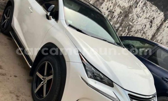 Sayi Na hannu Lexus NX White Mota in Douala a Ƙasar Kamaru