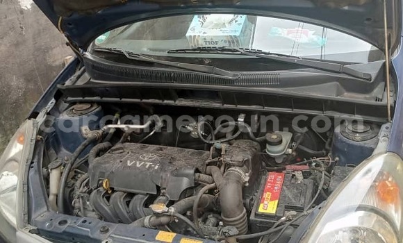 Buy Used Toyota Yaris Verso Blue Car in Douala in Littoral Cameroon Buy Used Toyota Yaris Verso Blue Car in Douala in Littoral Cameroon