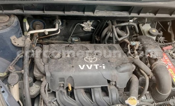 Buy Used Toyota Yaris Verso Blue Car in Douala in Littoral Cameroon Buy Used Toyota Yaris Verso Blue Car in Douala in Littoral Cameroon