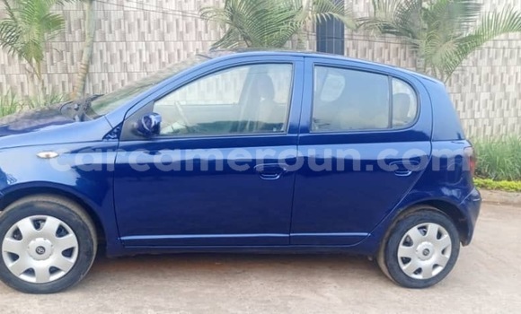 Buy Used Toyota Yaris Blue Car in Yaounde in Central Cameroon Buy Used Toyota Yaris Blue Car in Yaounde in Central Cameroon