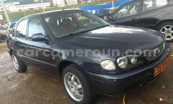Buy Used Toyota Corolla Black Car in Yaounde in Central Cameroon Buy Used Toyota Corolla Black Car in Yaounde in Central Cameroon