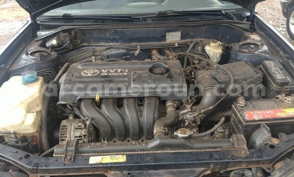 Buy Used Toyota Corolla Black Car in Yaounde in Central Cameroon Buy Used Toyota Corolla Black Car in Yaounde in Central Cameroon