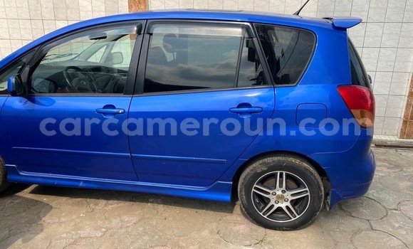 Buy New Toyota Spacio Blue Car in Yaounde in Central Cameroon Buy New Toyota Spacio Blue Car in Yaounde in Central Cameroon