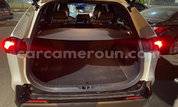 Sayi Sabo Toyota RAV4 White Mota in Douala a Ƙasar Kamaru Sayi Sabo Toyota RAV4 White Mota in Douala a Ƙasar Kamaru