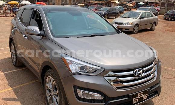 Sayi Na hannu Hyundai Santa Fe Sauran Mota in Douala a Ƙasar Kamaru
