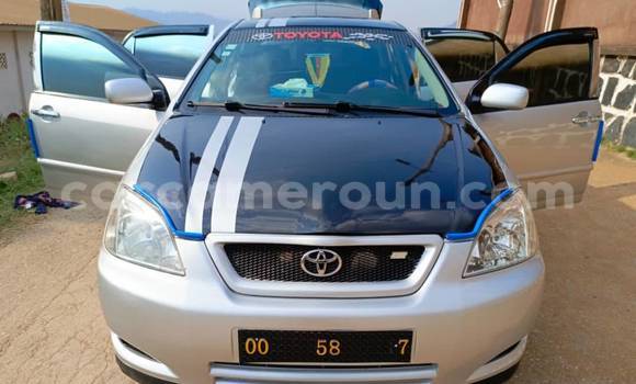 Acheter Occasion Voiture Toyota Allex Autre à Douala, Littoral Cameroon Acheter Occasion Voiture Toyota Allex Autre à Douala, Littoral Cameroon