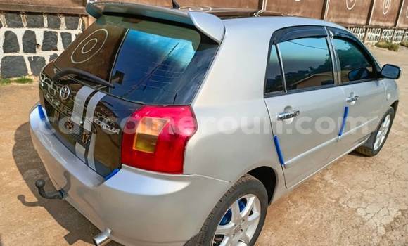 Acheter Occasion Voiture Toyota Allex Autre à Douala, Littoral Cameroon Acheter Occasion Voiture Toyota Allex Autre à Douala, Littoral Cameroon