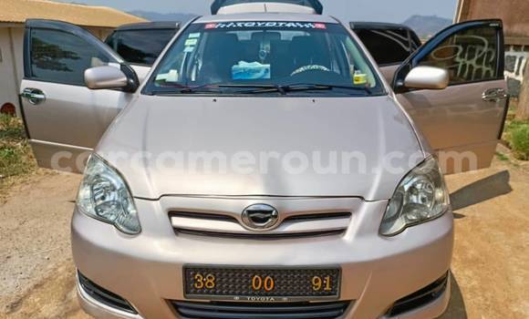 Acheter Occasion Voiture Toyota Runx Autre à Douala, Littoral Cameroon Acheter Occasion Voiture Toyota Runx Autre à Douala, Littoral Cameroon
