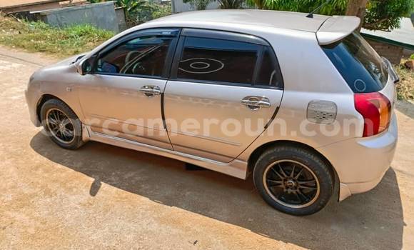 Acheter Occasion Voiture Toyota Runx Autre à Douala, Littoral Cameroon Acheter Occasion Voiture Toyota Runx Autre à Douala, Littoral Cameroon