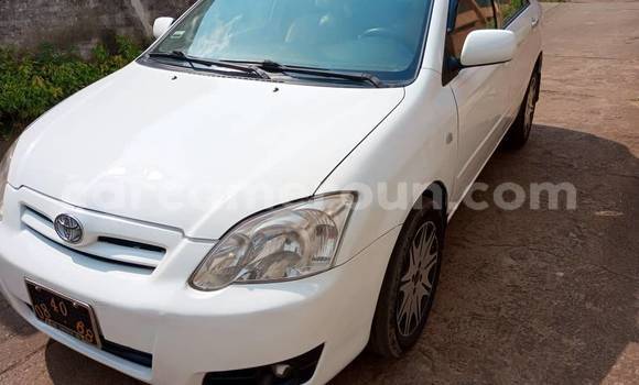 Acheter Occasion Voiture Toyota Runx Blanc à Douala, Littoral Cameroon