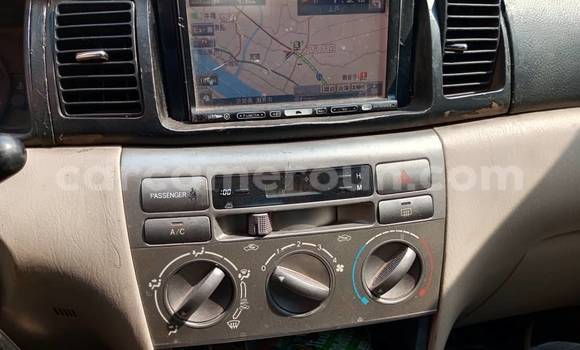 Acheter Occasion Voiture Toyota Runx Blanc à Douala, Littoral Cameroon Acheter Occasion Voiture Toyota Runx Blanc à Douala, Littoral Cameroon