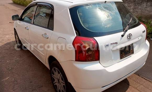 Acheter Occasion Voiture Toyota Runx Blanc à Douala, Littoral Cameroon Acheter Occasion Voiture Toyota Runx Blanc à Douala, Littoral Cameroon