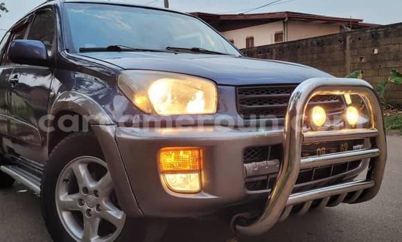 Acheter Occasion Voiture Toyota RAV4 Bleu à Douala, Littoral Cameroon Acheter Occasion Voiture Toyota RAV4 Bleu à Douala, Littoral Cameroon