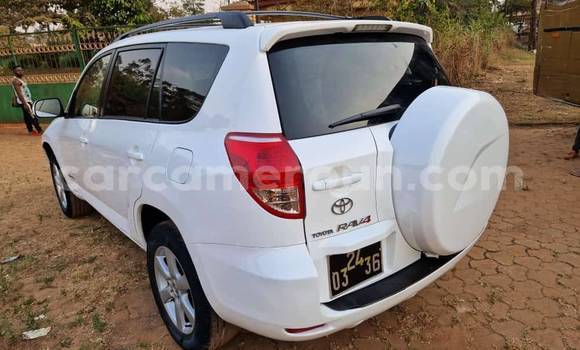 Acheter Occasion Voiture Toyota RAV4 Blanc à Yaoundé, Central Cameroon
