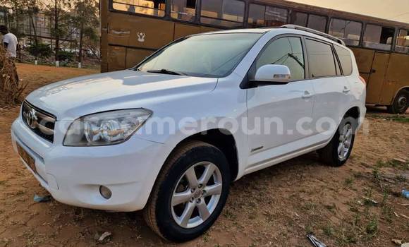 Acheter Occasion Voiture Toyota RAV4 Blanc à Yaoundé, Central Cameroon Acheter Occasion Voiture Toyota RAV4 Blanc à Yaoundé, Central Cameroon