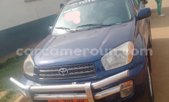 Sayi Na hannu Toyota RAV4 Blue Mota in Yaounde a Babban Kamaru