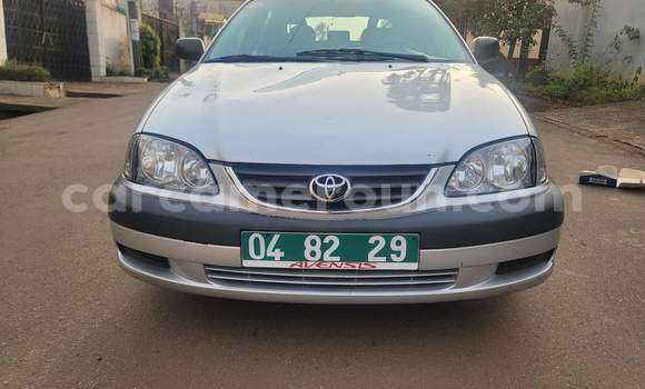 Buy Used Toyota Avensis Silver Car in Yaounde in Central Cameroon Buy Used Toyota Avensis Silver Car in Yaounde in Central Cameroon