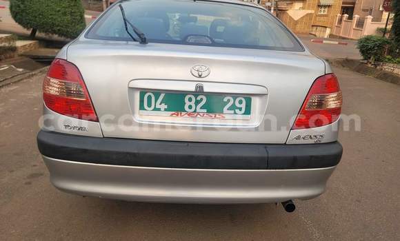 Buy Used Toyota Avensis Silver Car in Yaounde in Central Cameroon Buy Used Toyota Avensis Silver Car in Yaounde in Central Cameroon
