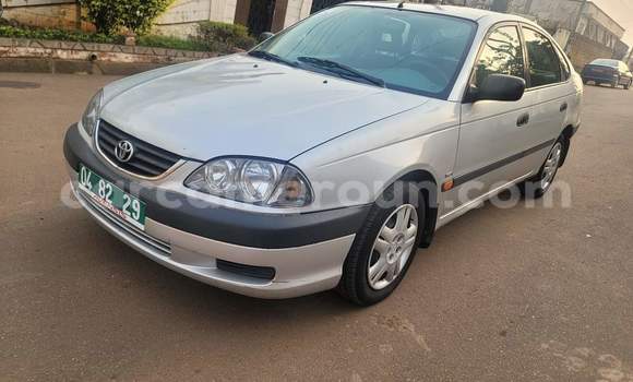 Buy Used Toyota Avensis Silver Car in Yaounde in Central Cameroon Buy Used Toyota Avensis Silver Car in Yaounde in Central Cameroon
