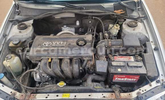 Buy Used Toyota Avensis Silver Car in Yaounde in Central Cameroon Buy Used Toyota Avensis Silver Car in Yaounde in Central Cameroon