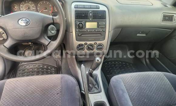 Buy Used Toyota Avensis Silver Car in Yaounde in Central Cameroon Buy Used Toyota Avensis Silver Car in Yaounde in Central Cameroon