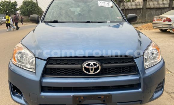Buy Used Toyota RAV4 Blue Car in Douala in Littoral Cameroon Buy Used Toyota RAV4 Blue Car in Douala in Littoral Cameroon