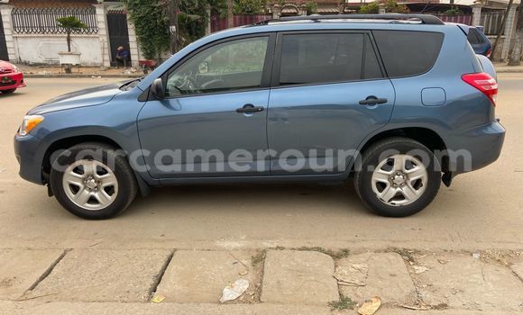 Buy Used Toyota RAV4 Blue Car in Douala in Littoral Cameroon Buy Used Toyota RAV4 Blue Car in Douala in Littoral Cameroon