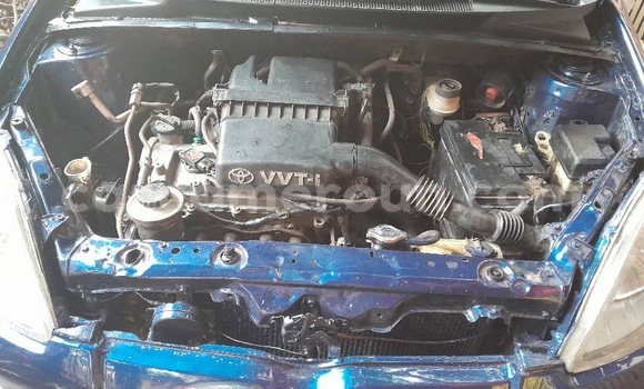 Sayi Na hannu Toyota Yaris Blue Mota in Yaounde a Babban Kamaru Sayi Na hannu Toyota Yaris Blue Mota in Yaounde a Babban Kamaru