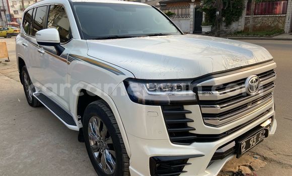 Buy New Toyota Land Cruiser White Car in Douala in Littoral Cameroon Buy New Toyota Land Cruiser White Car in Douala in Littoral Cameroon