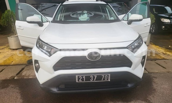 Acheter Neuf Voiture Toyota RAV4 Blanc à Douala, Littoral Cameroon