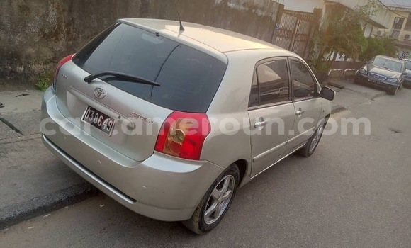 Acheter Occasion Voiture Toyota Allex Gris à Douala, Littoral Cameroon Acheter Occasion Voiture Toyota Allex Gris à Douala, Littoral Cameroon