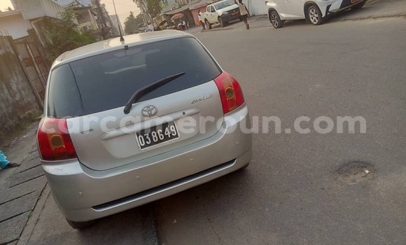 Acheter Occasion Voiture Toyota Allex Gris à Douala, Littoral Cameroon Acheter Occasion Voiture Toyota Allex Gris à Douala, Littoral Cameroon
