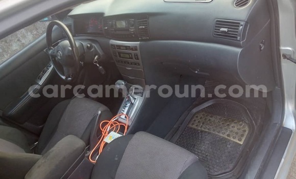 Acheter Occasion Voiture Toyota Allex Gris à Douala, Littoral Cameroon Acheter Occasion Voiture Toyota Allex Gris à Douala, Littoral Cameroon