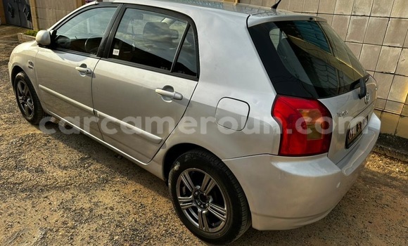 Buy Used Toyota Corolla Silver Car in Douala in Littoral Cameroon