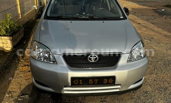 Buy Used Toyota Corolla Silver Car in Douala in Littoral Cameroon Buy Used Toyota Corolla Silver Car in Douala in Littoral Cameroon