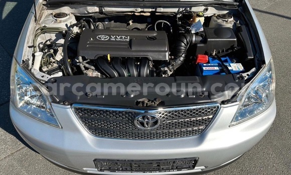 Buy Used Toyota Corolla Silver Car in Douala in Littoral Cameroon Buy Used Toyota Corolla Silver Car in Douala in Littoral Cameroon