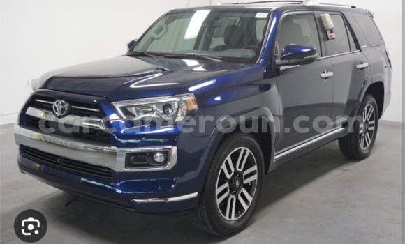 Sayi Imported Toyota 4Runner Blue Mota in Douala a Ƙasar Kamaru