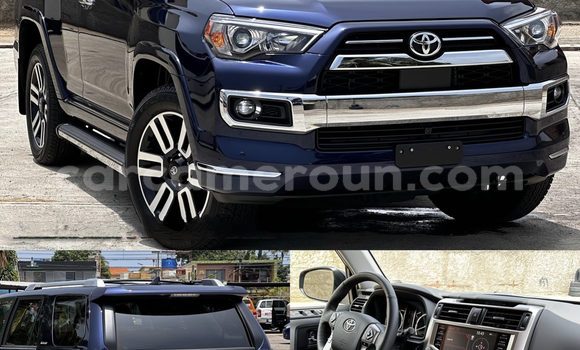 Acheter Import Voiture Toyota 4Runner Bleu à Douala, Littoral Cameroon Acheter Import Voiture Toyota 4Runner Bleu à Douala, Littoral Cameroon