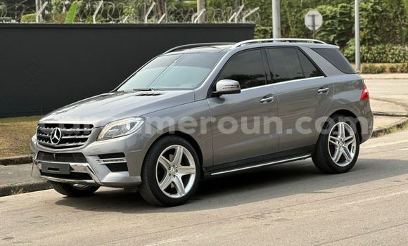 Acheter Import Voiture Mercedes‒Benz ML–Class Gris à Douala, Littoral Cameroon