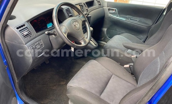 Buy New Toyota Spacio Blue Car in Yaounde in Central Cameroon Buy New Toyota Spacio Blue Car in Yaounde in Central Cameroon