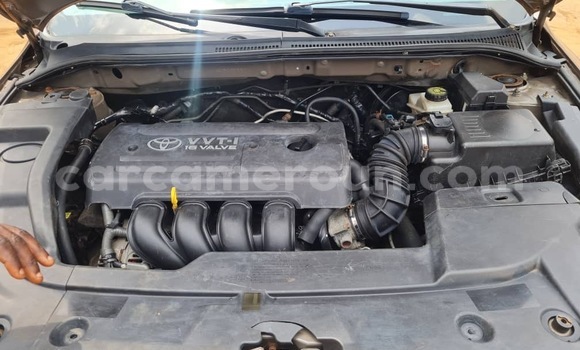 Buy New Toyota Avensis Brown Car in Yaounde in Central Cameroon Buy New Toyota Avensis Brown Car in Yaounde in Central Cameroon