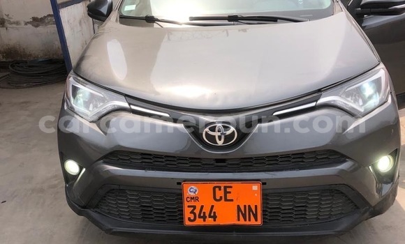 Acheter Occasion Voiture Toyota RAV4 Beige à Douala, Littoral Cameroon