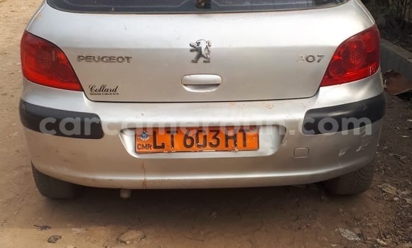Sayi Na hannu Peugeot 307 Azurfa Mota in Douala a Ƙasar Kamaru