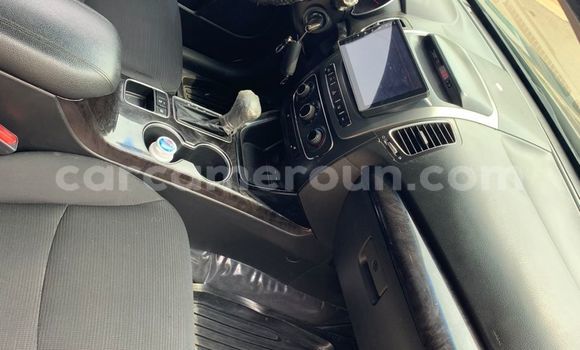 Buy Used Kia Sorento Green Car in Yaounde in Central Cameroon Buy Used Kia Sorento Green Car in Yaounde in Central Cameroon