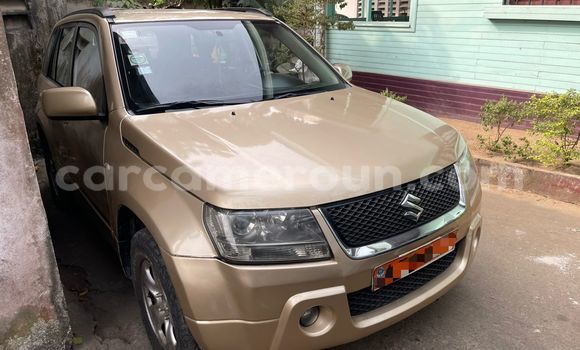 Sayi Na hannu Suzuki Grand Vitara Sauran Mota in Douala a Ƙasar Kamaru