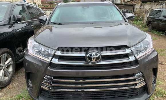 Buy Used Toyota Highlander Silver Car in Douala in Littoral Cameroon