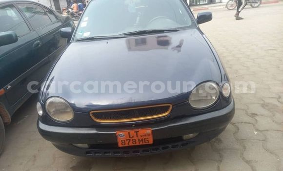 Buy Used Toyota Corolla Other Car in Yaounde in Central Cameroon Buy Used Toyota Corolla Other Car in Yaounde in Central Cameroon