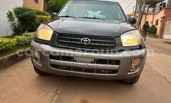 Acheter Occasion Voiture Toyota RAV4 Autre à Yaoundé, Central Cameroon
